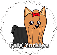 Faig Yorkies