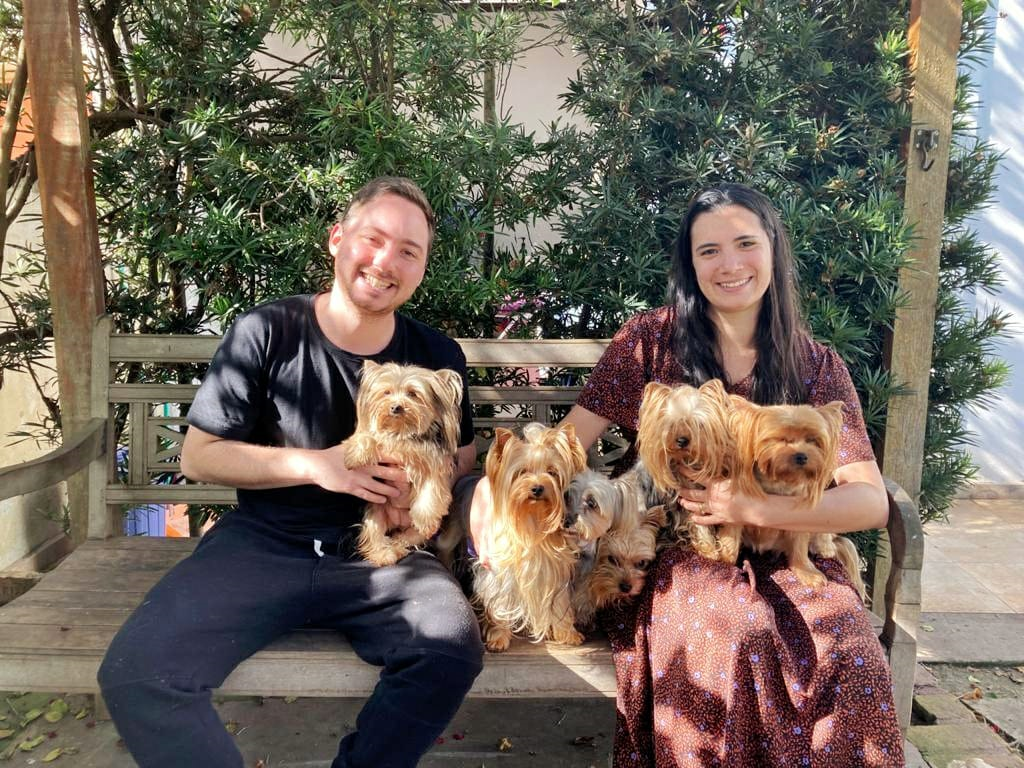 Equipe Faig Yorkies com seus cães