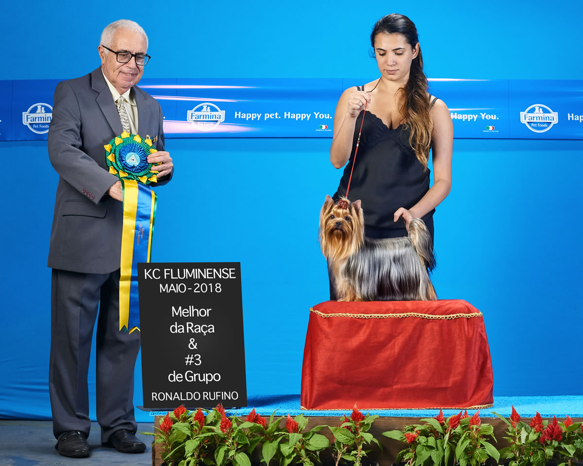 Clarissa Faig em apresentação com Top Gun